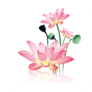 水墨工具箱app